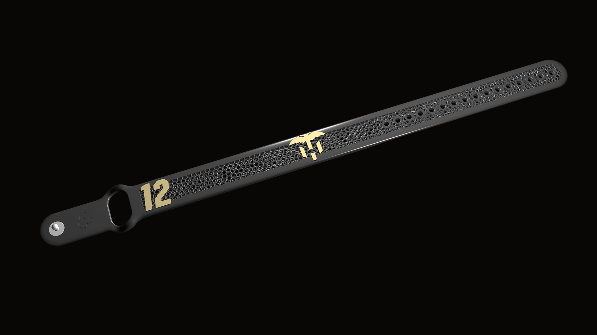 TH12 Collection Wristband
